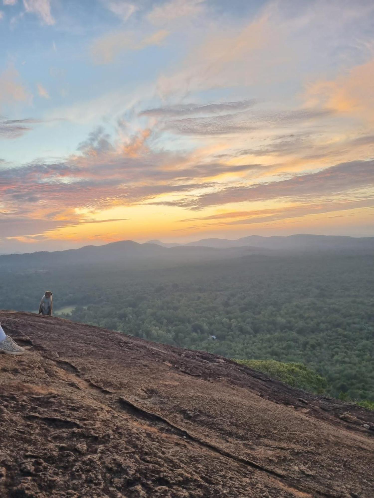 Sunrise Cottage Sigiriya Exterior foto