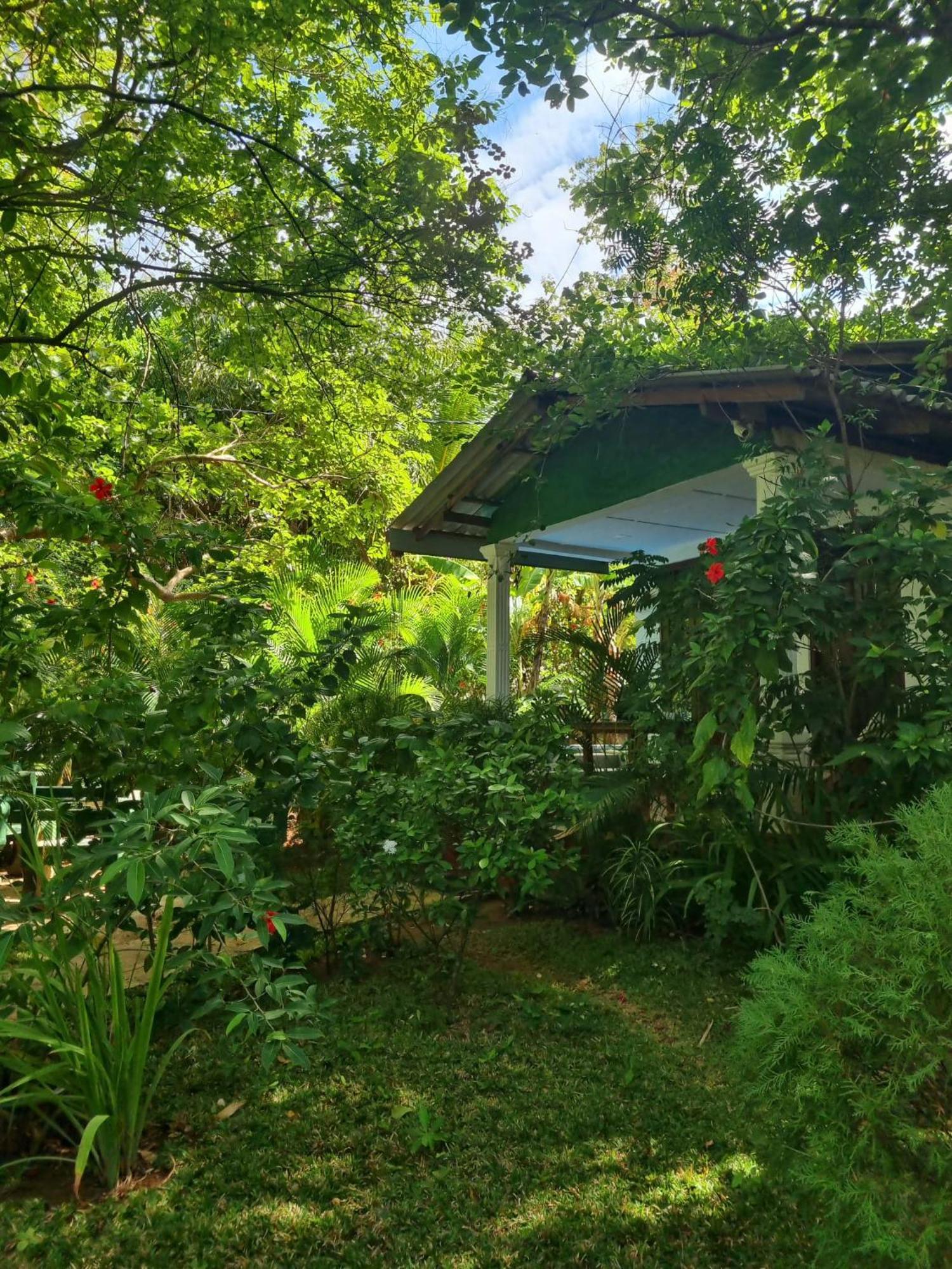 Sunrise Cottage Sigiriya Exterior foto