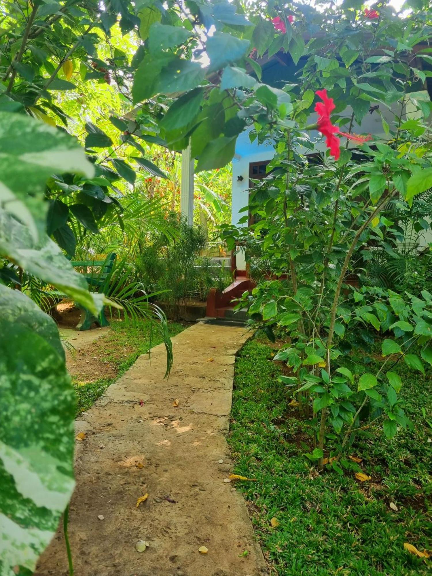 Sunrise Cottage Sigiriya Exterior foto