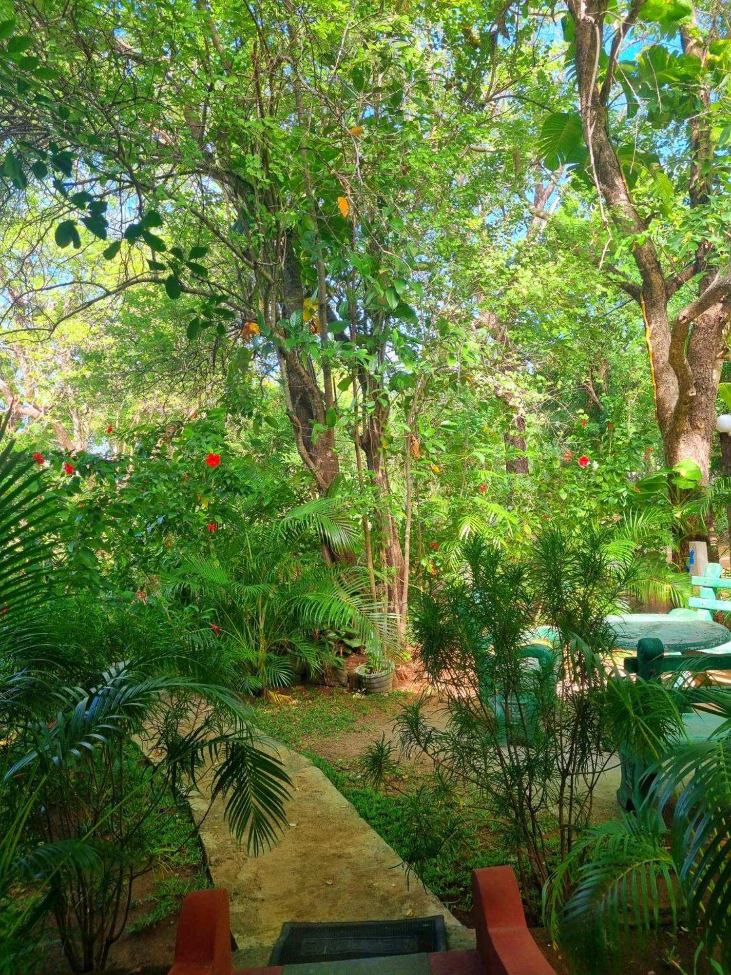 Sunrise Cottage Sigiriya Exterior foto