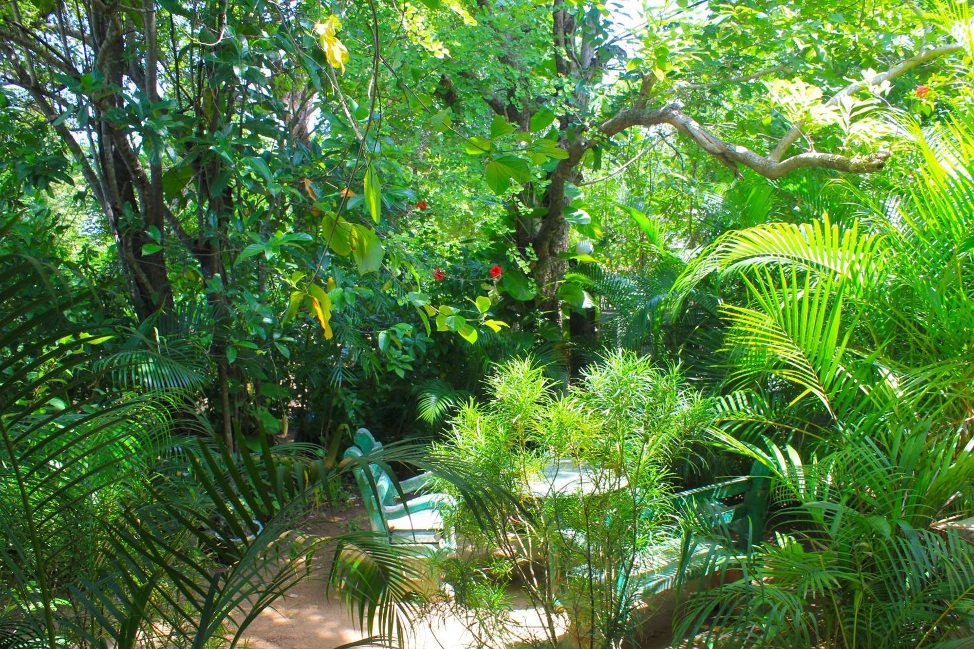 Sunrise Cottage Sigiriya Exterior foto